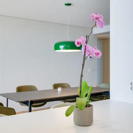 Διαμέρισμα Rjs Savoy Monumentalis By Madeira *