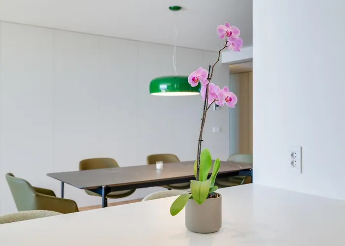 Apartment Rjs Savoy Monumentalis By Madeira *